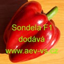 Paprika roční zeleninová hybridní Sondela F1 precisem