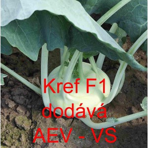 Kedluben bílý hybridní Kref F1