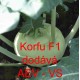 Kedluben bílý hybridní Korfu F1