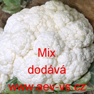 Květák poloraný Mix