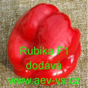 Paprika roční zeleninová hybridní Rubika F1