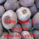 Řepa červená salátová Rote Kugel 2