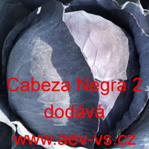 Zelí hlávkové červené Cabeza Negra 2