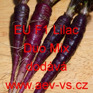 Mrkev obecná hybridní EU F1 Lilac Duo Mix